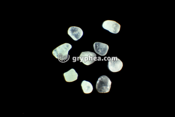 Sable éolien (grains ronds-mats, Dune de Pilat) - gryphea.com